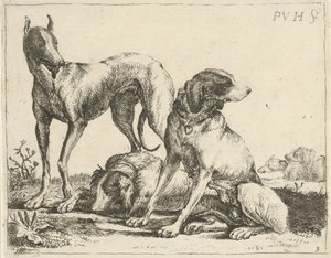 Tres perros Diferentes perros (título de la serie)