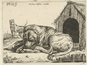 Perro recostado en una cadena Diferentes perros (título de la serie) de Pauwels van Hillegaert