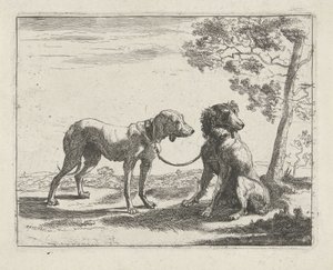 Dos perros Perros (título de la serie)