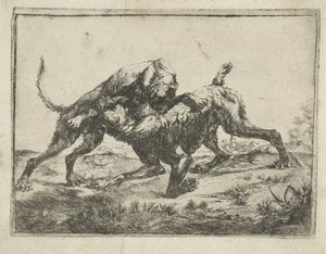 perros de pelea