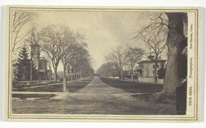 Avenida Hillhouse de Peck Brothers