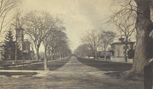 Avenida Hillhouse, siglo XIX de Peck Brothers