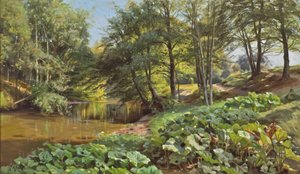Día soleado de mayo en el arroyo del bosque