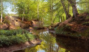 Día soleado en el arroyo del bosque de Peder Monsted