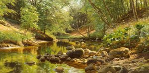 P.Mönsted, Arroyo soleado