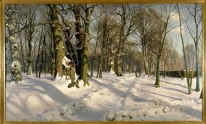 Bosque de invierno nevado a la luz del sol