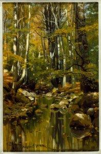 Arroyo en el final del verano de Peder Monsted