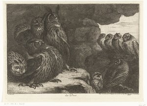 Búhos en una cueva des Ducs (título sobre objeto) Birds from the Menagerie of Versailles (título de la serie) de Peeter Boel (attributed to)
