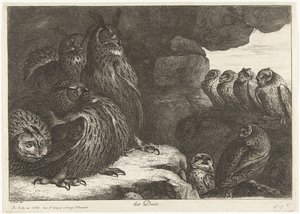 Búhos en una cueva des Ducs (título sobre objeto) Birds from the Menagerie of Versailles (título de la serie)