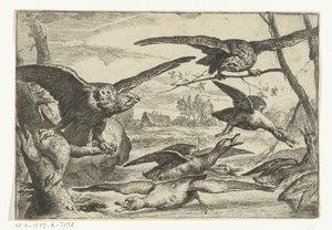 techovogels Aves diferentes (título de la serie)