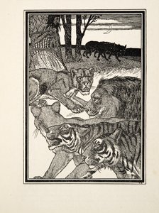 Una Leona Agradecida, de Cien Anécdotas de Animales, pub. 1924 de Percy J. Billingshurst