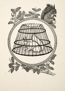 Una ardilla refugiada, de Cien anécdotas de animales, pub. 1924 de Percy J. Billingshurst