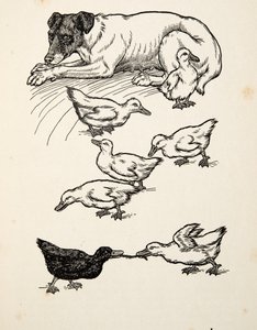 Una madre adoptiva singular, de Cien anécdotas de animales, pub. 1924 de Percy J. Billingshurst