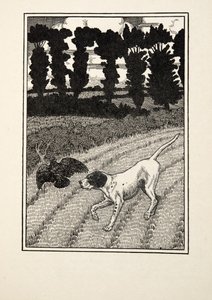 Engañando al cazador, de Cien anécdotas de animales, pub. 1924 de Percy J. Billingshurst