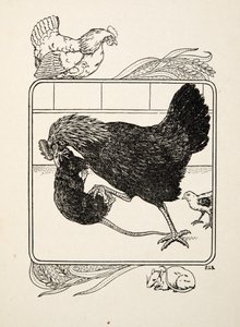 El heroísmo de una gallina, de Cien anécdotas de animales, pub. 1924 de Percy J. Billingshurst