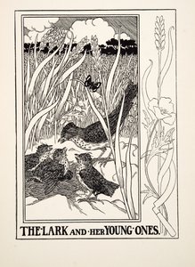 La alondra y sus crías, de Cien fábulas de Esopo, pub. 1903 (grabado) de Percy J. Billingshurst