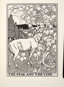 El ciervo y la vid, de Fábulas de Fontaine, pub. 1905