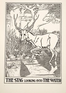 El ciervo mirando al agua, de Cien fábulas de Esopo, pub.1903 (grabado) de Percy J. Billingshurst