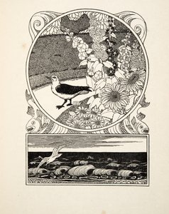 La gaviota domesticada, de Cien anécdotas de animales, pub. 1924 (grabado) de Percy J. Billingshurst