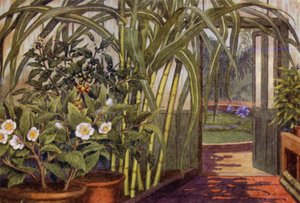Caña de azúcar, planta del té y planta del café (litografía en color) de Percy James Billinghurst