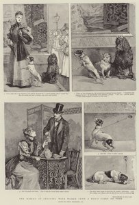 La miseria de ir de compras con mujeres desde el punto de vista de un perro de Percy Macquoid