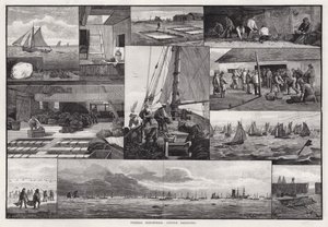Industrias pesqueras, dragado de ostras de Percy Robert Craft