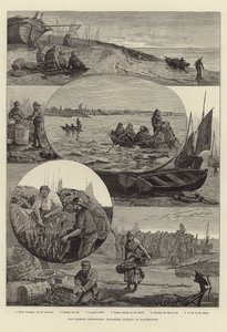 Nuestras industrias pesqueras: pesca de caballa en Eastbourne de Percy Robert Craft
