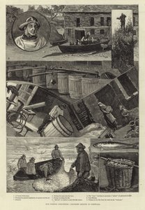 Nuestras industrias pesqueras: pesca de sardinas en Cornualles