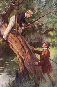 Now, you Come Down this Minute (litografía en color) de Percy Tarrant