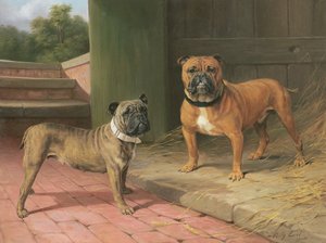 Un bulldog rojo y un bulldog atigrado junto a un granero (óleo sobre lienzo)