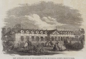 La Nueva Casa de Antílopes en los Jardines de la Sociedad Zoológica, Regent