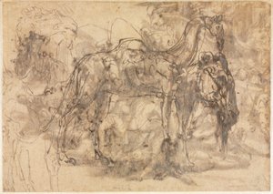 Bocetos de animales verso, c. 1545-1547