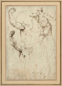 Estudio de un desnudo visto de espaldas y dos estudios de un brazo (anverso); desnudo visto de espaldas, con estudios secundarios de un hombro y una pierna (reverso) de Perino del Vaga