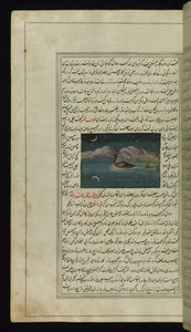 Un ganso y el reflejo de la luna en el agua de Luces de Canopus