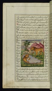 Un león malvado, engañado por una liebre, mira en un pozo y ve su reflejo de Luces de Canopus de Persian School