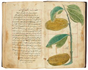 Hassan Bin Baqir Bin Jarrah: Gulzar Al-Rayahin, Qajar Irán