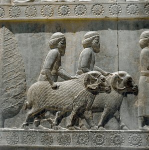 Los sogdianos traen regalos a Darío I. Relieves de la escalera oriental de la Apadana, siglo VI a.C.