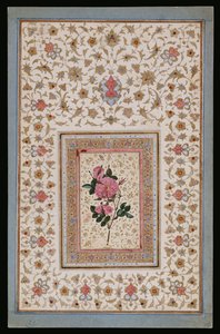 Estudio de una rosa de Persian School