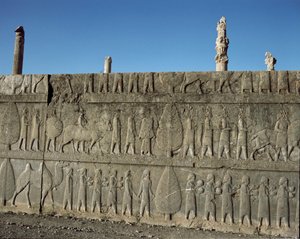 Pueblos sometidos ofrecen regalos a Darío I. Relieves de la escalera oriental de la Apadana, siglo VI a.C.