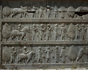 Pueblos sometidos ofrecen regalos a Darío I. Relieves de la escalera oriental de la Apadana, siglo VI a.C.