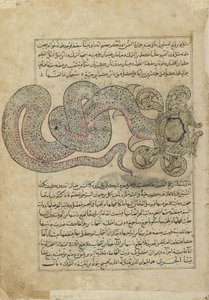 El dragón-serpiente marina (al-Tannin), folio del Ajaib al-makhluqat (Maravillas de la Creación) de al-Qazvini de Persian School