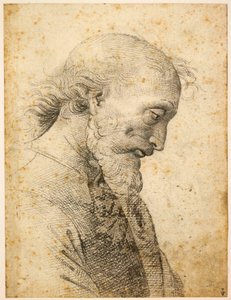 Busto de hombre de Perugino