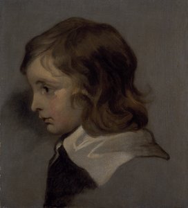Cabeza de un niño pequeño