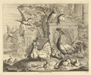 Gallo, gallina con pollitos y otras aves en un jardín con ruinas antiguas Aves diferentes (título de la serie)