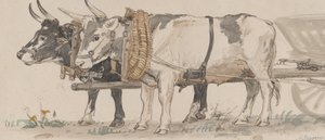 Dos Bueyes Tirando de un Carro, 1874