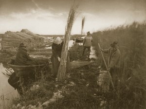 Durante la cosecha de cañas, Vida y Paisaje en los Norfolk Broads, c.1886 de Peter Emerson und Thomas Goodall