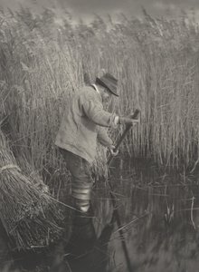 Un cortador de juncos trabajando, 1886