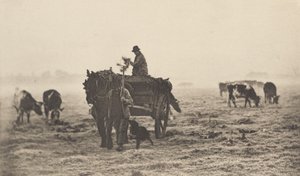 Una Mañana Helada de Peter Henry Emerson
