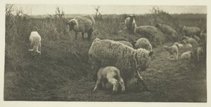 Pastoral de marzo (Suffolk) de Peter Henry Emerson