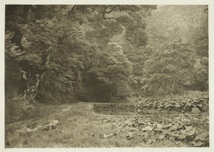 Un rincón tranquilo en Beresford Dale de Peter Henry Emerson